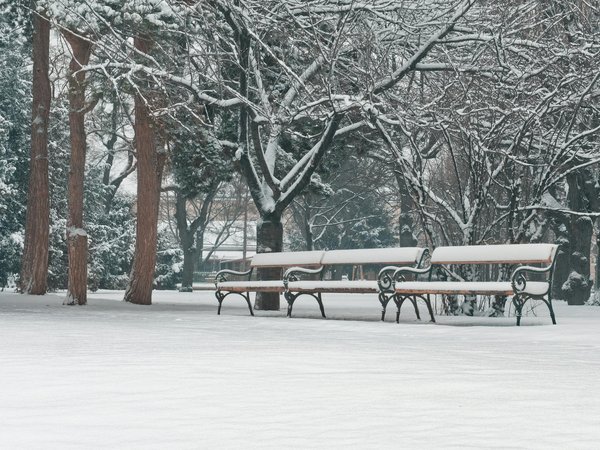 Les allergies déclencheurs de l'asthme