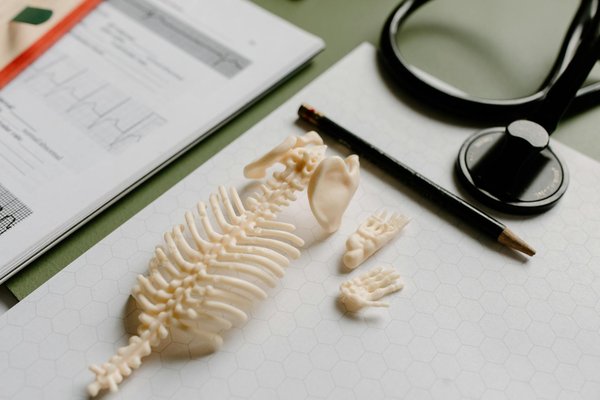 Investir dans un matériel ergonomique pour soulager la douleur chronique