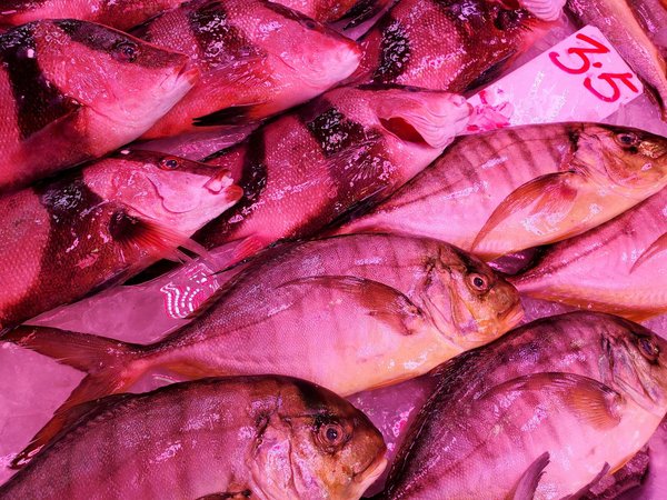 Grossesse ectopique et conseil génétique